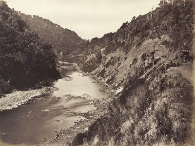 Manawatu Gorge 1 Mile From Bridge、1878（アルブメンプリント） 作： James Bragge